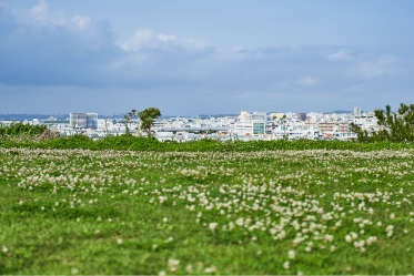 期待される軍用地の跡地利用